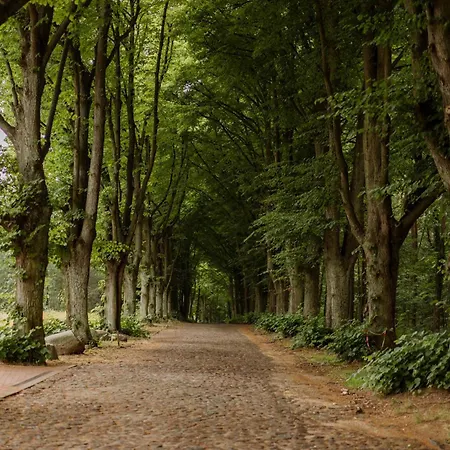 Dworek Bukowy Park Апарт-готель 3*