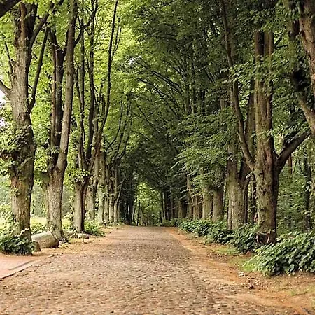 Dworek Bukowy Park 3* Szczecin
